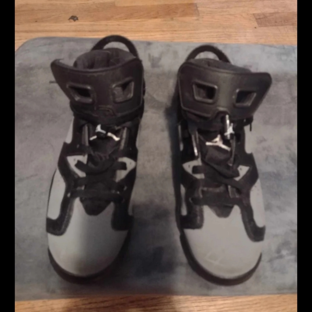 Nike Air Jordan 6 Retro BG in Cool Gray